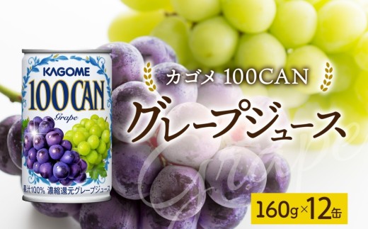 100CANグレープ160g×12 ns038-047 [缶 ぶどう ジュース 朝食 軽食 おやつ お弁当 飲み切り ゼリー シャーベット フロート KAGOME]