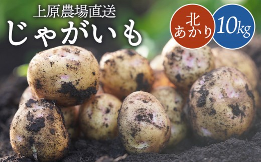 【先行予約】上原農場直送　じゃがいも（北あかり） 10kg【S～2Lサイズ混合】