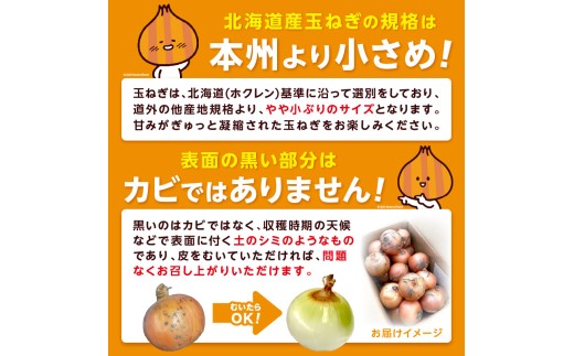 北海道北見市のふるさと納税 【2026年1月中お届け】日本一の玉ねぎ生産地！信田農園の玉ねぎ 10kg Lサイズ ( 信田農園 野菜 玉ねぎ 玉葱 たまねぎ タマネギ 10キロ 北見のたまねぎ オニオン 野菜 甘い ふるさと納税 )【124-0006-2025】