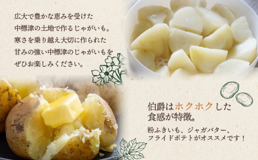 【先行予約】上原農場直送　じゃがいも（伯爵） 10kg【S～2Lサイズ混合】