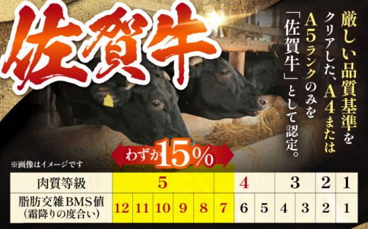 佐賀牛 厚切り サーロイン ステーキ 霜降り A5 牛肉 黒毛和牛 佐賀 和牛 ギフト お祝い 贈答