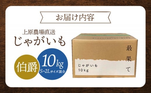 【先行予約】上原農場直送　じゃがいも（伯爵） 10kg【S～2Lサイズ混合】