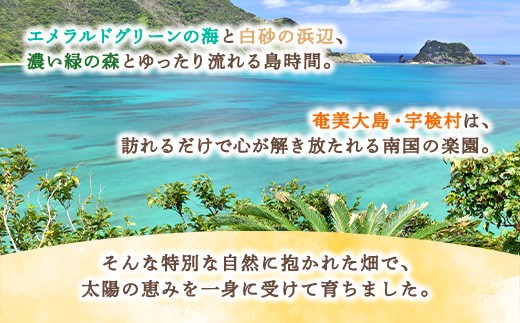 こんなところで育ちました。
