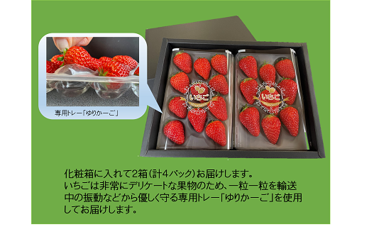 安心安全ないちごをお届けします。
