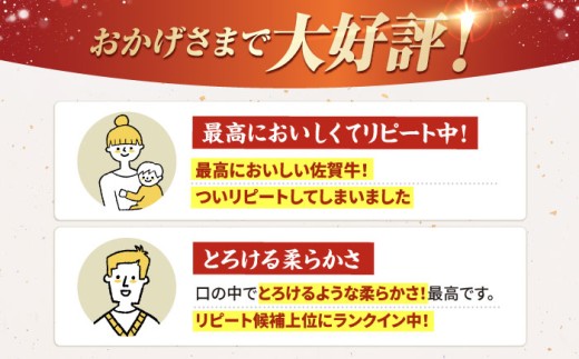 佐賀 和牛 カルビ A5ランク 焼肉 三角ばら 外バラ 中バラ 定期 12回 定期便 牛肉 和牛 黒毛和牛 冷凍  味付き