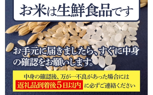 秋田県仙北市のふるさと納税 【白米】＜令和7年産 新米予約＞ 秋田県産 あきたこまち 20kg (5kg×4袋) 20キロ お米 新米
