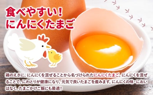 旬の野菜とたまごのセット