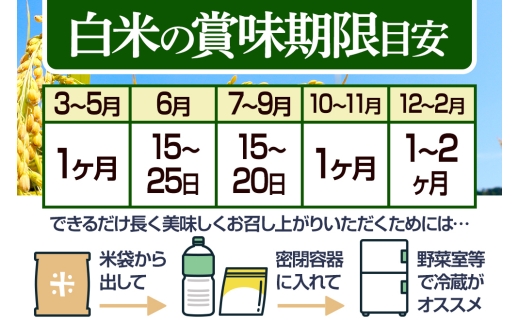秋田県仙北市のふるさと納税 【白米】＜令和7年産 新米予約＞ 秋田県産 あきたこまち 20kg (5kg×4袋) 20キロ お米 新米