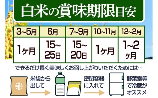 秋田県仙北市のふるさと納税 【無洗米】＜令和7年産 新米予約＞《定期便12ヶ月》秋田県産 あきたこまち 5kg (5kg×1袋) ×12回 5キロ お米  新米