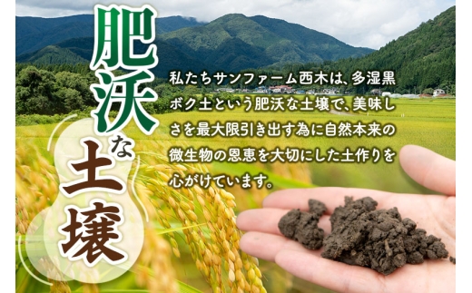 秋田県仙北市のふるさと納税 【白米】＜令和7年産 新米予約＞ 秋田県産 あきたこまち 20kg (5kg×4袋) 20キロ お米 新米