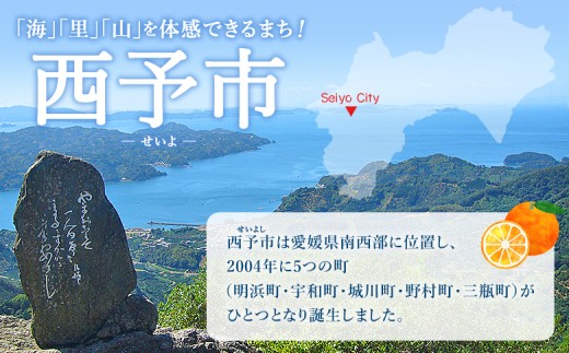 愛媛県西予市のふるさと納税 ＜愛媛県西予市産 せとか ご家庭用 約4kg＞ 訳あり 不揃い 傷 果物 フルーツ みかん ミカン 蜜柑 セトカ オレンジ 柑橘類 選べる 甘い 期間限定 食べて応援 特産品 宇都宮物産 【常温】『2026年2月下旬～4月上旬迄に順次出荷予定』