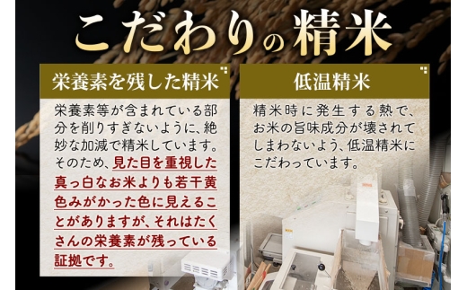 秋田県仙北市のふるさと納税 【白米】＜令和7年産 新米予約＞ 秋田県産 あきたこまち 20kg (5kg×4袋) 20キロ お米 新米