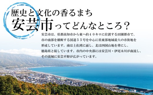 アイテムID:462068の画像7枚目