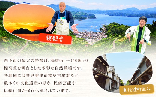 愛媛県西予市のふるさと納税 ＜愛媛県西予市産 せとか ご家庭用 約2kg＞ 訳あり 不揃い 傷 果物 フルーツ みかん ミカン 蜜柑 セトカ オレンジ 柑橘類 選べる 甘い 期間限定 食べて応援 特産品 宇都宮物産 【常温】『2026年2月下旬～4月上旬迄に順次出荷予定』