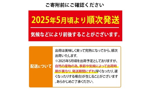 アイテムID:457442の画像7枚目