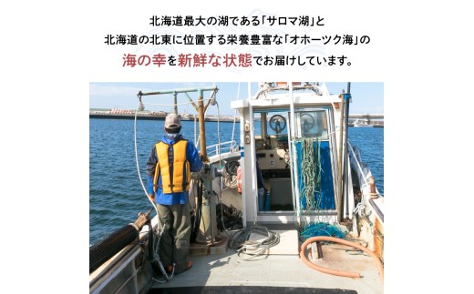 北海道北見市のふるさと納税 【予約：2026年4月中旬から順次発送】サロマ湖産 生うに ( 海鮮 雲丹 うに ウニ 塩水 生ウニ 生うに ウニ丼 エゾバフンウニ ムキ身 高級 1パック 期間限定 )【114-0006-2026】