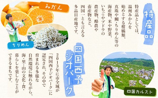 愛媛県西予市のふるさと納税 ＜愛媛県西予市産 せとか ご家庭用 約4kg＞ 訳あり 不揃い 傷 果物 フルーツ みかん ミカン 蜜柑 セトカ オレンジ 柑橘類 選べる 甘い 期間限定 食べて応援 特産品 宇都宮物産 【常温】『2026年2月下旬～4月上旬迄に順次出荷予定』
