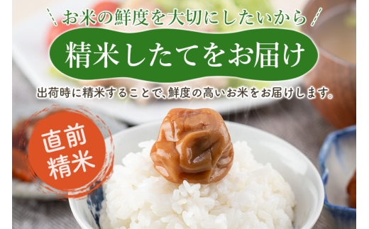 秋田県仙北市のふるさと納税 【白米】＜令和7年産 新米予約＞ 秋田県産 あきたこまち 20kg (5kg×4袋) 20キロ お米 新米