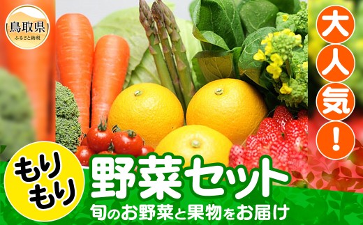 A24-024 もりもり野菜セット 581461 - 鳥取県鳥取県庁