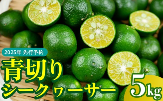 【2025年】青切りシークヮーサー 5kg シークワーサー おきなわ 国産 県産 フルーツ 人気 沖縄 ギフト くだもの スッキリ お取り寄せ お土産 食べ物 果物 先行予約 ご当地 名護市 なご 青切り ノビレチン 1345791 - 沖縄県名護市
