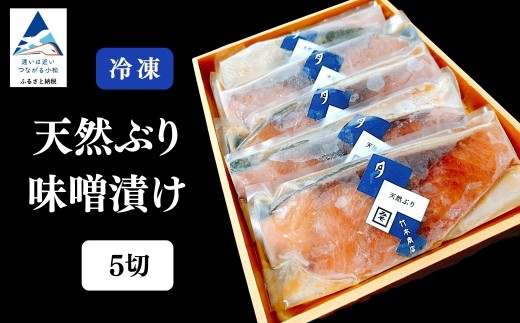 天然ブリ味噌漬け 5切れ 冷凍便 鰤 ぶり 小松市 石川県 【株式会社竹本商店】 2253051 - 石川県小松市