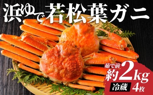 【先行予約】鳥取県岩美町特産 若松葉ガニ姿茹で 4枚セット【22044】