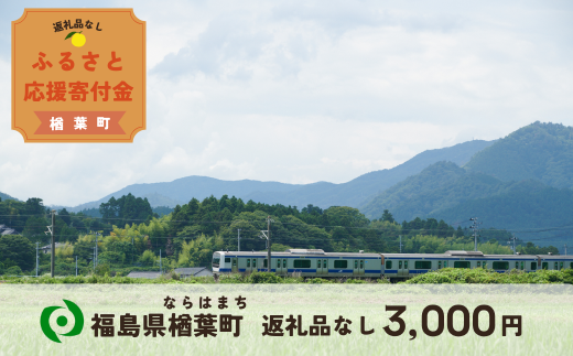 【返礼品なしの寄附】福島県楢葉町 3,000円 ［福島県 福島 楢葉町 寄附 おうえん 応援 しえん 支援 応援寄付金 寄付のみ 返礼品なし 返礼品なしの寄付 3,000円］