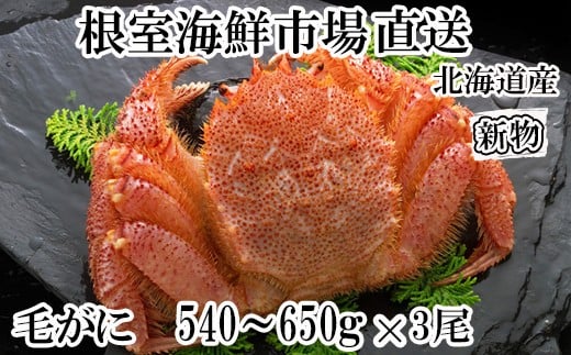 D-14058 ボイル毛がに540~650g×3尾 2209167 - 北海道根室市