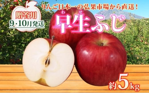 【9月・10月発送】贈答用 早生ふじ 約5kg【西目屋村産・青森りんご】 りんご 林檎 リンゴ 果物 フルーツ くだもの 旬 青森県産 お取り寄せ 詰め合わせ セット 常温 産地直送 送料無料 青森県 西目屋村