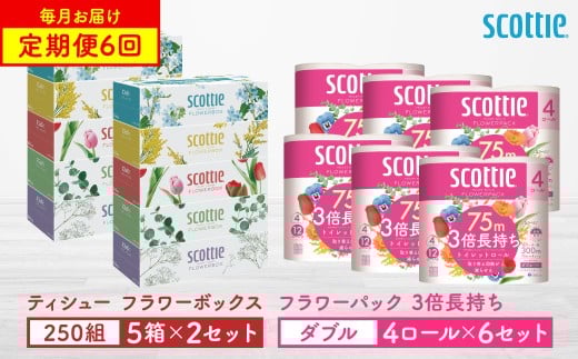 【定期便6回】【毎月お届け】【スコッティ】 ティシュー フラワーボックス 250組（5箱パック×2セット）＋フラワーパック 3倍長持ち（4ロール（ダブル）パック ×6セット） ティッシュ トイレットペーパー 日用品 ストック