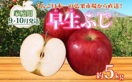 【9月・10月発送】家庭用 早生ふじ 約5kg【西目屋村産・青森りんご】 りんご 林檎 リンゴ 果物 フルーツ くだもの 旬 青森県産 お取り寄せ 詰め合わせ セット 常温 産地直送 送料無料 青森県 西目屋村