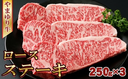 No.1073 やまゆり牛　ロース　ステーキ　250g×3枚 ／ 肉 牛肉 牛 国産 ブランド牛 かながわブランド 旨味 風味 柔らかい 神奈川県 2314402 - 神奈川県厚木市