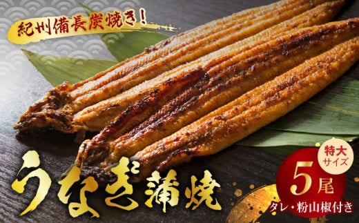 V7303_炭焼き うなぎ 蒲焼 特大サイズ 5尾 セット（約200g前後 × 5尾）タレ 粉山椒 付き　国産 鰻　冷凍 ウナギ　1尾ずつ真空パック　土用の丑の日　紀伊国屋文左衛門本舗