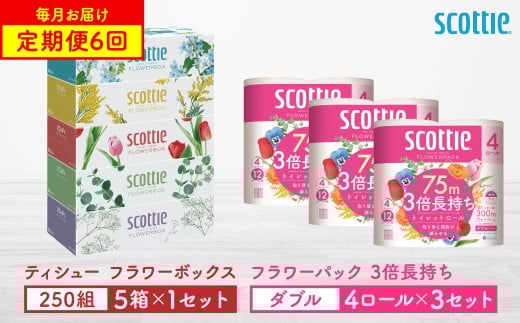 【定期便6回】【毎月お届け】【スコッティ】 ティシュー フラワーボックス 250組（5箱パック×1セット）＋フラワーパック 3倍長持ち（4ロール（ダブル）パック ×3セット） ティッシュ トイレットペーパー 日用品 ストック