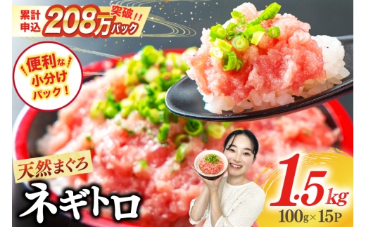 【2月発送】ネギトロ 15パック（計1.5kg） レビューキャンペーン 1457531 - 静岡県吉田町