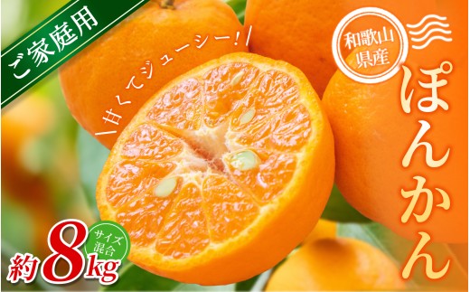 【家庭用】 森本農園の手選別 ポンカン 約8kg 和歌山県産 サイズ混合 【北海道・沖縄・離島配送不可】【2026年1月上旬～2月上旬頃に順次発送】