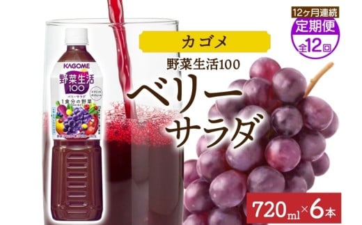 【定期便】12ヵ月連続野菜生活100 ベリーサラダ 720mlPET ns038-077 【ペットボトル 野菜 果実 ベリー ミックスジュース β-カロテン フルーティー 紫野菜 KAGOME】