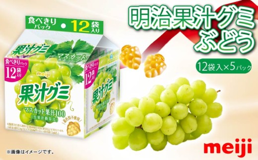 明治 果汁グミスマートパック マスカット 163ｇ × 5個 グミ お菓子 おやつ フルーツ 果物 果汁 詰め合わせ 詰合せ セット まとめ買い 静岡県 藤枝市 