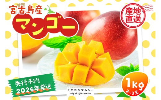 JH001《先行予約 2026年発送》宮古島産マンゴー1㎏【㈱フラモン】 1359177 - 沖縄県宮古島市