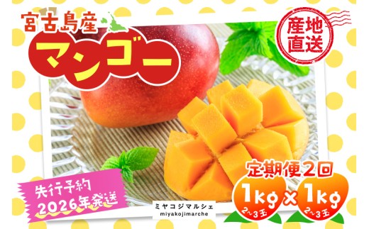 JH003《先行予約 2026年発送》宮古島産マンゴー(1kg×定期便2回)【(株)フラモン】 1359179 - 沖縄県宮古島市