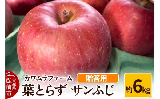 【25年11月～発送】りんご 葉とらず サンふじ 約6kg カワムラファーム 贈答用【先行受付】 青森 果物 フルーツ 林檎 リンゴ くだもの 予約【レビューキャンペーン】