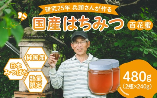 【先行予約】兵頭さん家の国産はちみつ 2瓶（計480g 計360cc） | 国産 百花蜜 蜂蜜 ハチミツ 深山ミツバチ 研究25年 日本ミツバチ ※2025年9月下旬頃より順次発送予定 ※離島への配送不可
