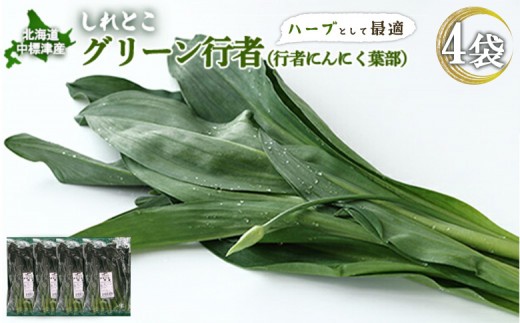 【ハーブとして最適】行者にんにくグリーン行者×4袋 （葉部）