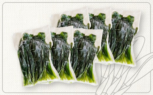 行者にんにくグリーン行者×6袋 （葉部）