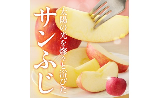 【専用】りんご様 青森県より産地直送 高木商店 マルタカブランド 高木のふじ