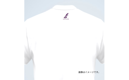 後ろ身頃の襟下にロゴマークが入ります。