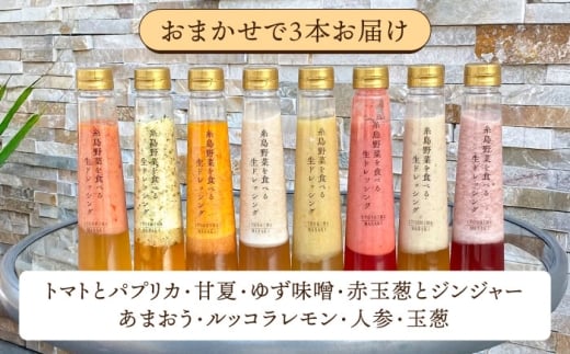 ドレッシング セット ボトル ギフト 無添加 人気 野菜 にんじん