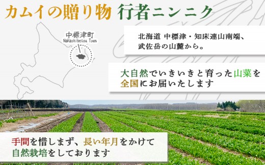 しれとこ極太行者肉巻き×4袋