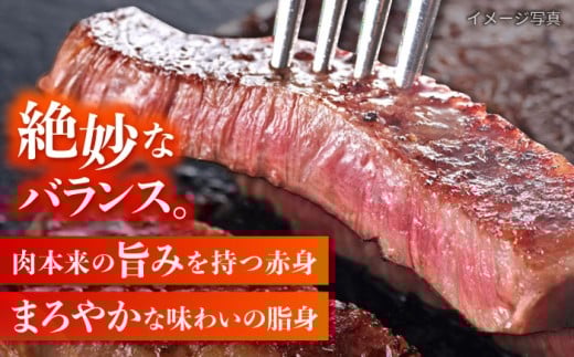 国産冷凍牛肉サーロインさーろいんサーロインステーキ和牛さーろいんすてーき牛真空パックステーキすてーき定期便ていきびん