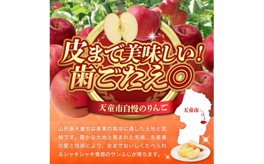りんご様 売切】＜卸売販売＞青森県産りんご飴向け小玉りんご（きおう